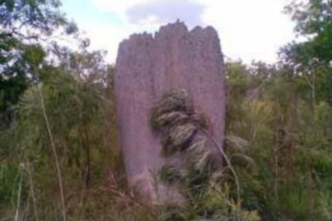 Chalets On Woodlands - Accommodation Newcastle 3