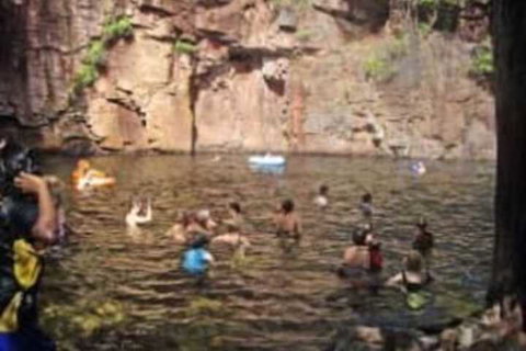 Chalets On Woodlands - Accommodation Newcastle 1