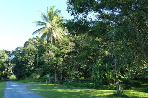 Daintree Valley Haven - Accommodation Newcastle 1
