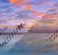 Global Backpackers Cairns - Accommodation Newcastle