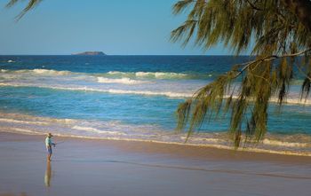 Pacific Royale Holiday Apartment 313 - Accommodation Newcastle 2