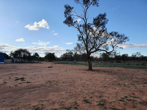 Mungo Roo - Accommodation Newcastle 4