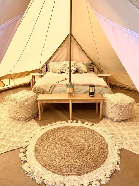 Mungo Roo - Accommodation Newcastle 3