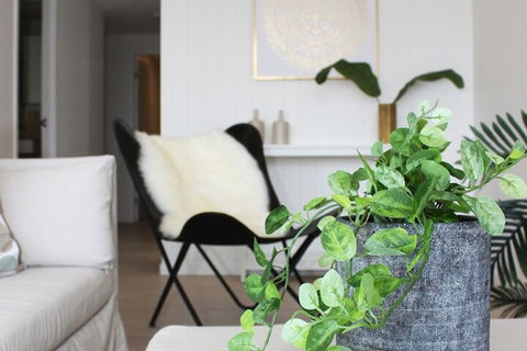 Modern Apartment In Brisbane - Accommodation Newcastle 5