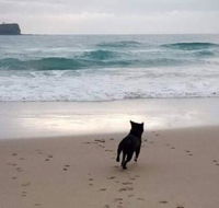 Breakers at Mudjimba Beach - Accommodation Newcastle
