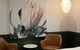 Bowral Boutique Motel - thumb 6