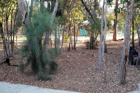 Frasers Landing Lifestyle - Accommodation Newcastle 4