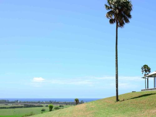 Rose Valley NSW Accommodation Newcastle