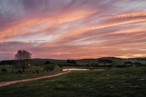 Bedervale Tiny - Accommodation Newcastle 1