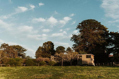 Bedervale Tiny - Accommodation Newcastle 6