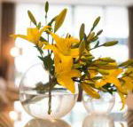 KUI Manhattan Apartments - Accommodation Newcastle