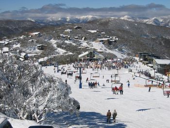 Twin Towers 302A - Accommodation Newcastle 6