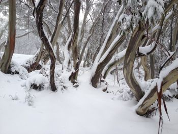 Twin Towers 302A - Accommodation Newcastle 2