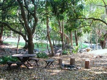 Mt Warning Holiday Park - Accommodation Newcastle 2