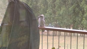 Deloraine Comfort - Accommodation Newcastle 2