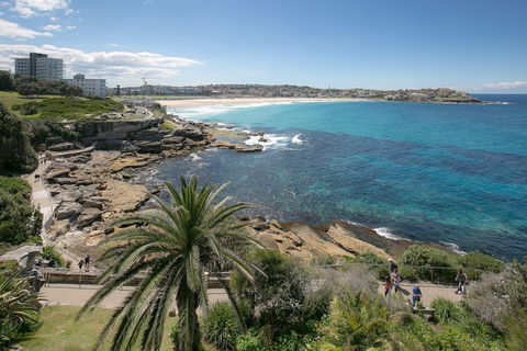Ultimate Bondi Escape - Accommodation Newcastle 4