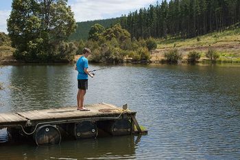 Nannup Valley Chalets - Accommodation Newcastle 1