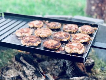 In2thewild Chapman Valley - Accommodation Newcastle 1