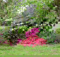 North East Rest Awhile Bed  Breakfast - Accommodation Newcastle