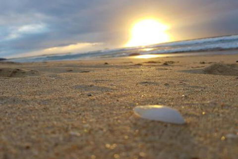 Eagles Loft - Accommodation Newcastle 6