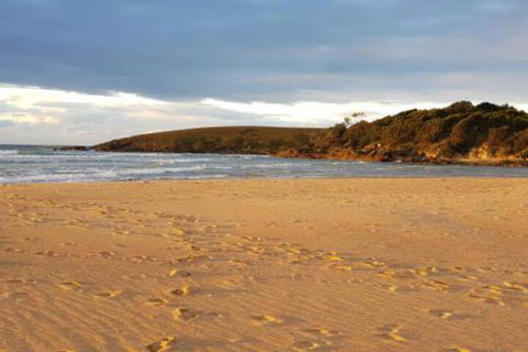 Eagles Loft - Accommodation Newcastle 5