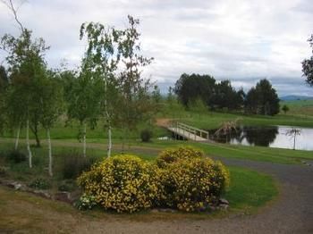 Buttercup Cottage & Private Apartment - Accommodation Newcastle 3