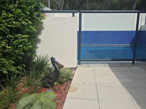 Manly Marina Cove Motel Brisbane - Accommodation Newcastle 3