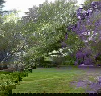 Petersons Armidale Winery  Guesthouse - Accommodation Newcastle