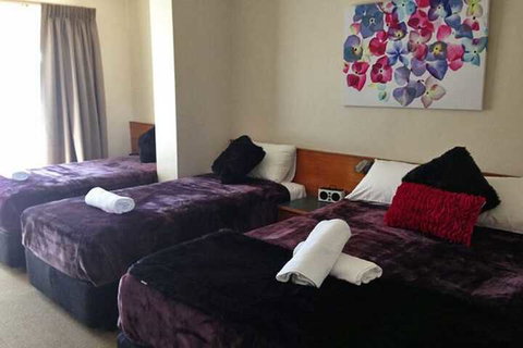 Abbotsleigh Motor Inn - Accommodation Newcastle 5