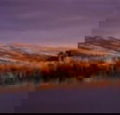 Wombat Hills Cottages - Accommodation Newcastle