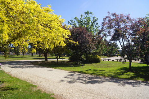 All Seasons Mansfield - Accommodation Newcastle 5