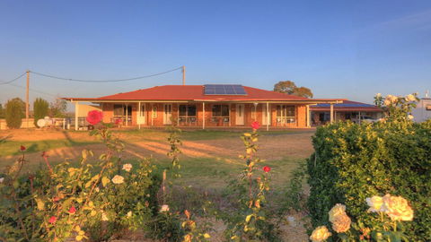 The Golfers Inn - Accommodation Newcastle 4