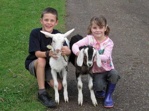 Honeycomb Valley Farm - Accommodation Newcastle 1