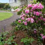 Lietinna TAS Accommodation Newcastle