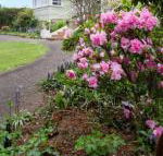Anabels of Scottsdale - Accommodation Newcastle