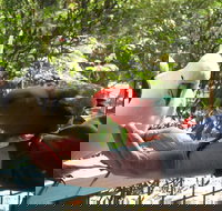 Lorne Bush House Cottages  Eco Retreats - Accommodation Newcastle