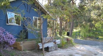 Lorne Bush House Cottages & Eco Retreats - Accommodation Newcastle 1