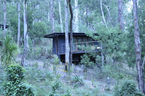 Qdos Arts - Accommodation Newcastle 6