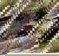 Qdos Arts - Accommodation Newcastle