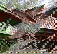 Barrington Wilderness Cedar Lodge Accommodation - Accommodation Newcastle