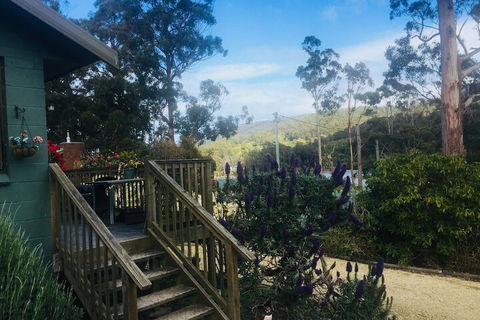 Classic Cottages Port Arthur - Accommodation Newcastle 2