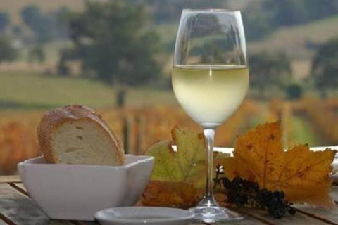 Outlook Hill Pavilion Suites & Spa Cottages - Accommodation Newcastle 2