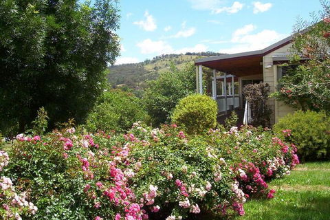 Yarra Glen Bed & Breakfast - Accommodation Newcastle 7