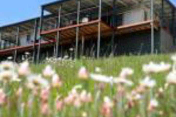 Abels Bay TAS Accommodation Newcastle