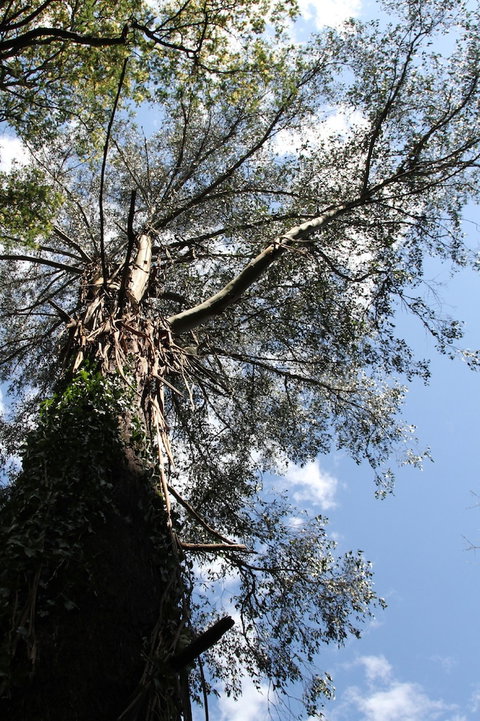 Gatehouse Cottage At Merrow Cottages - Mt Dandenong - Accommodation Newcastle 4