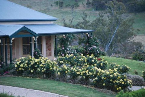 Battunga Cottages - Accommodation Newcastle 1