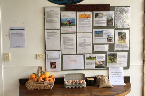 Alstonville Country Cottages - Accommodation Newcastle 5