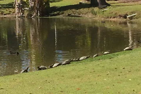 Sanctuary Lakes Fauna Retreat - Accommodation Newcastle 1