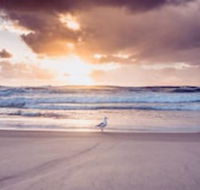 Blue Waters Motel - Accommodation Newcastle