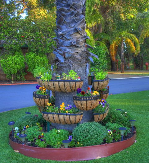 Mandurah Caravan & Tourist Park - Accommodation Newcastle 4